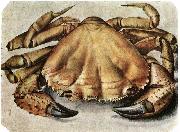 Albrecht Durer Lobster 1495 Watercolour and gouache china oil painting artist